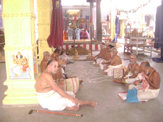 Mylapore SVDD  Srinivasa perumal Pavithrotsavam 2014--07