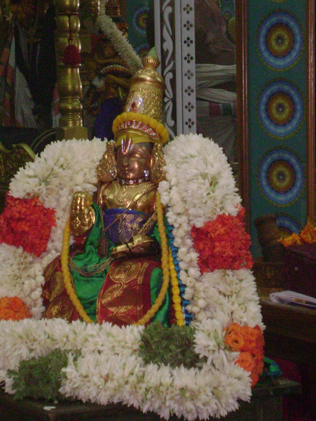 Mylapore SVDD  Srinivasa perumal Pavithrotsavam day 6 2014--0002