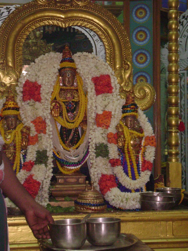 Mylapore SVDD  Srinivasa perumal Pavithrotsavam day 6 2014--0003