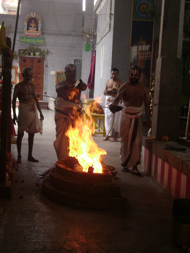 Mylapore SVDD  Srinivasa perumal Pavithrotsavam day 6 2014--0005