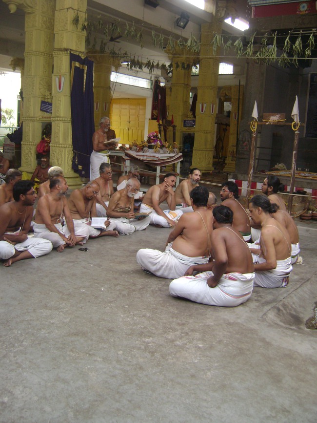Mylapore SVDD  Srinivasa perumal Pavithrotsavam day 6 2014--0009