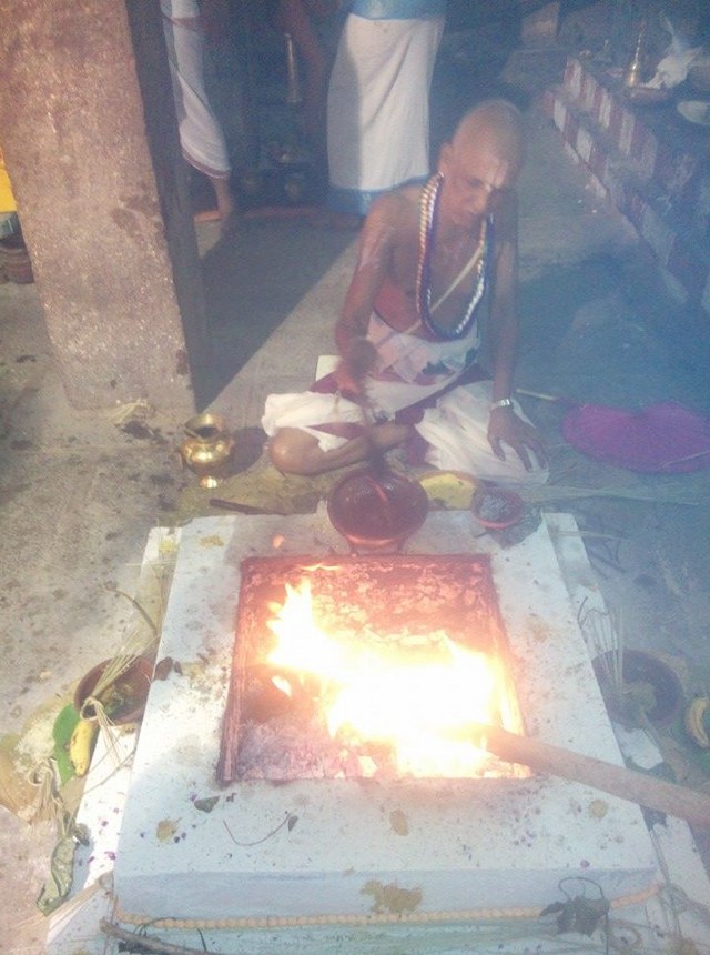 Mylapore Sri Adhikesava Perumal Temple Pavithrotsavam  day 2  2014 6