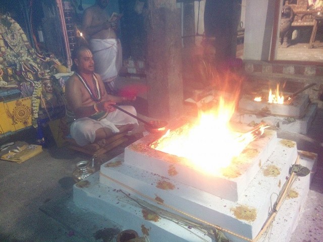 Mylapore Sri Adhikesava Perumal Temple Pavithrotsavam  day 2  2014 9