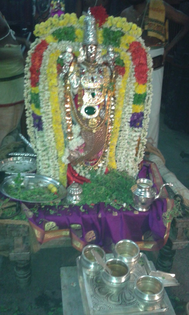 Namakkal Narasimhaswami Temple Navarathri UTsavam day 1 2014--02