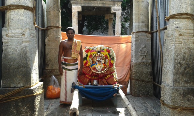 Namakkal Narasimhaswami Temple Navarathri UTsavam day 1 2014--03