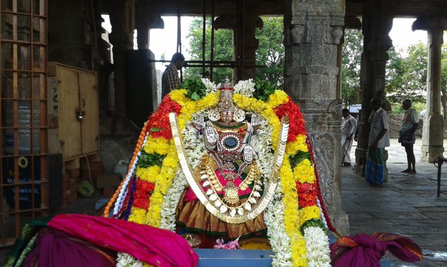 Namakkal Narasimhaswami Temple Navarathri UTsavam day 1 2014--06