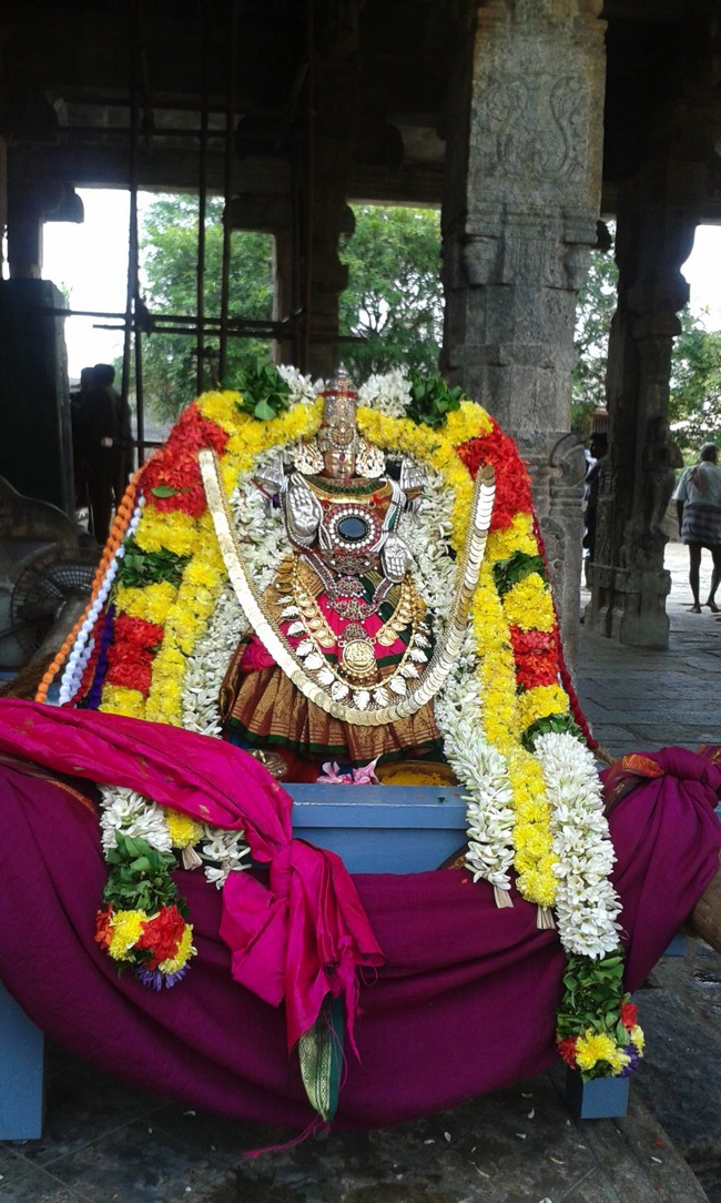 Namakkal Narasimhaswami Temple Navarathri UTsavam day 1 2014--10