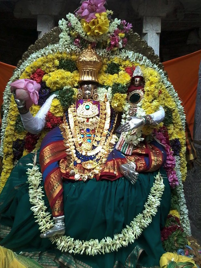 Namakkal Narasimhaswami Temple Navarathri UTsavam day 4 2014--01
