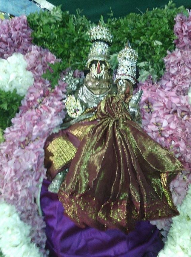 Parikal Narasimha Temple Aippasi Swathi utsavam  2014  2
