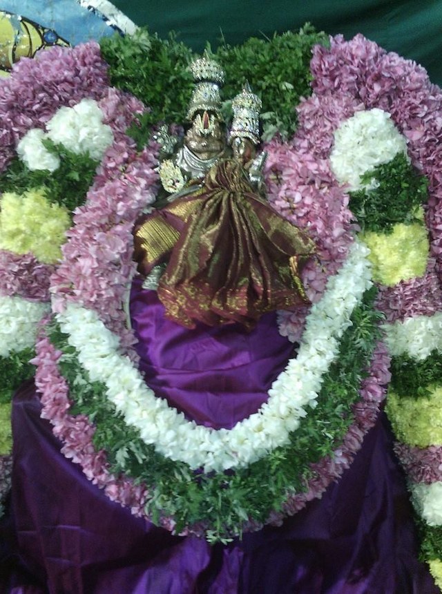 Parikal Narasimha Temple Aippasi Swathi utsavam  2014  5