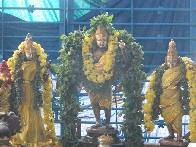 Ponpathirkoodam Sri Chaturbuja Ramar Temple ThiruPavithrotsavam Concludes18