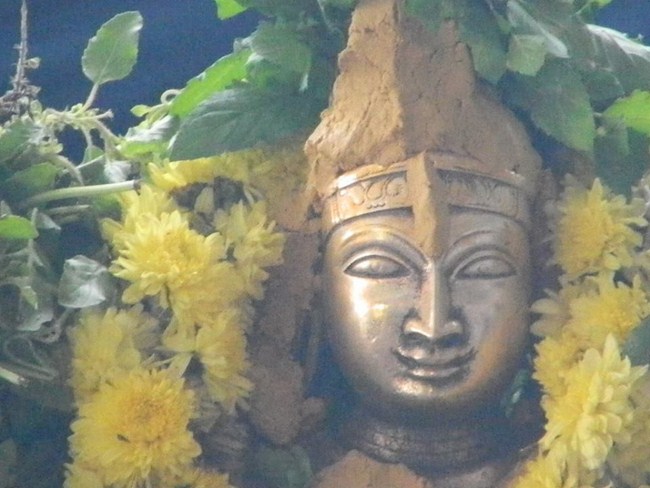 Ponpathirkoodam Sri Chaturbuja Ramar Temple ThiruPavithrotsavam Concludes9