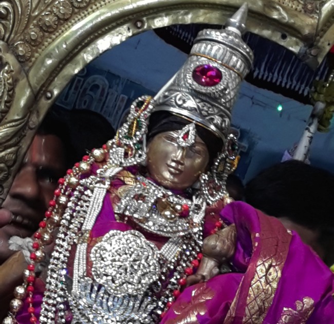 Punjai Puliyampatti Parivettai Utsavam 2014--12