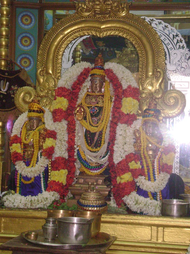 SVDD Srinivasa Perumal  Temple Pavithrotsavam day 5  2014 03