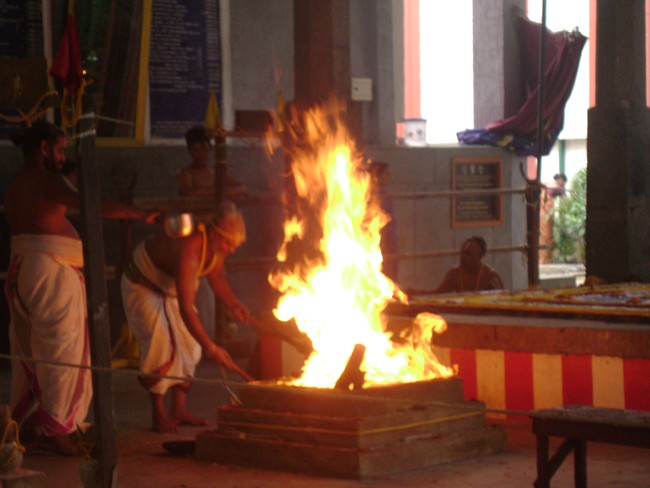 SVDD Srinivasa Perumal  Temple Pavithrotsavam day 5  2014 06