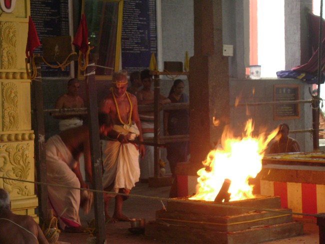 SVDD Srinivasa Perumal  Temple Pavithrotsavam day 5  2014 07