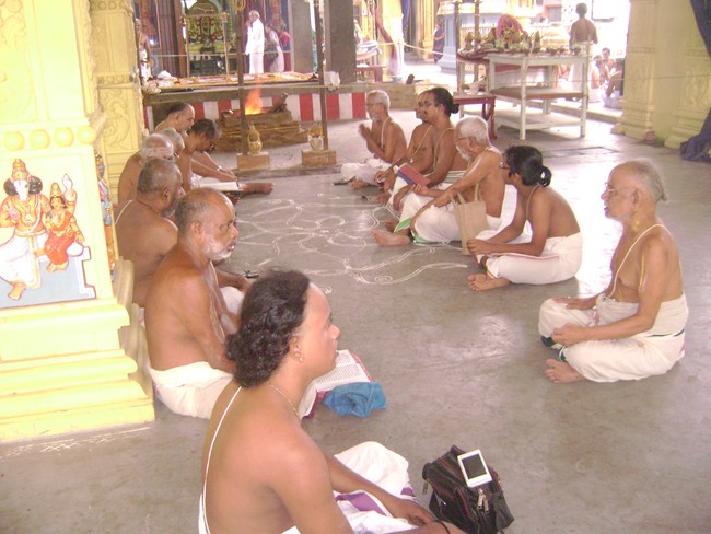 SVDD Srinivasa Perumal  Temple Pavithrotsavam day 5  2014 09
