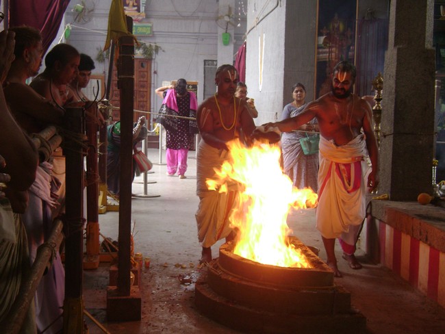SVDD Srinivasa Perumal  Temple Pavithrotsavam day 5  2014 13