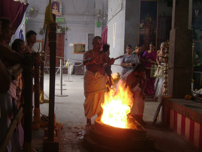 SVDD Srinivasa Perumal  Temple Pavithrotsavam day 5  2014 14