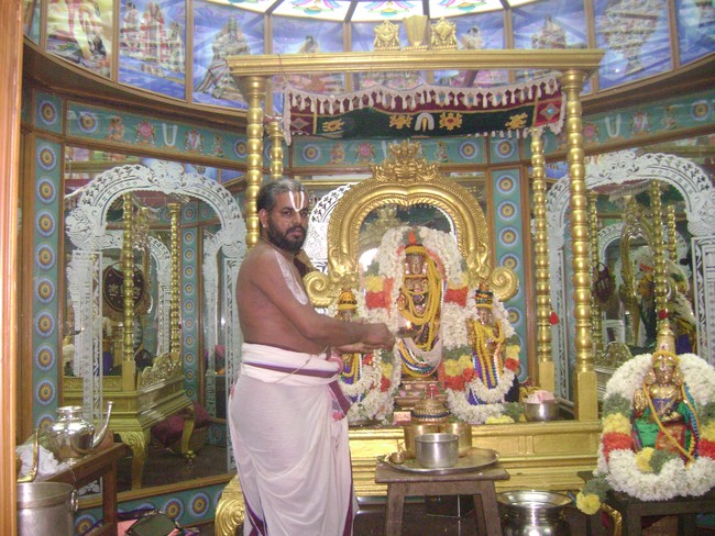 SVDD Srinivasa perumal temple pavithrotsavam 2014 01