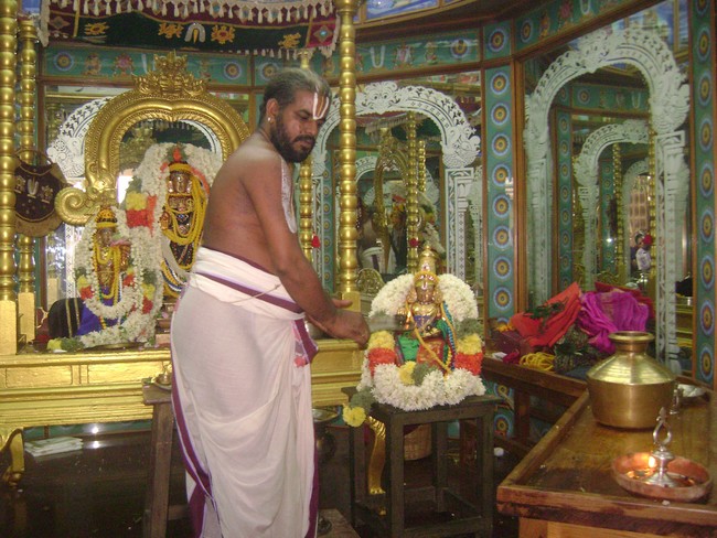 SVDD Srinivasa perumal temple pavithrotsavam 2014 02