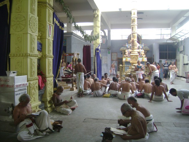 SVDD Srinivasa perumal temple pavithrotsavam 2014 03