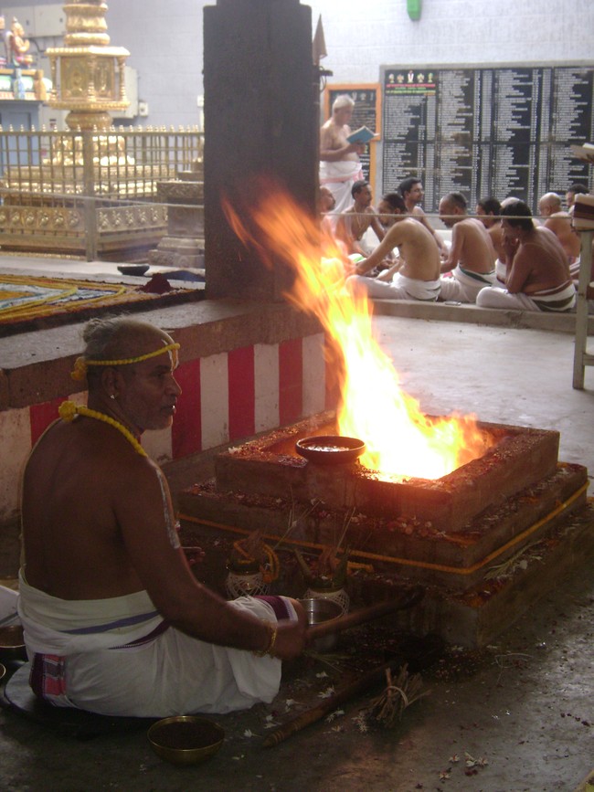 SVDD Srinivasa perumal temple pavithrotsavam 2014 06
