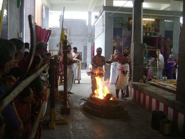 SVDD Srinivasa perumal temple pavithrotsavam 2014 08