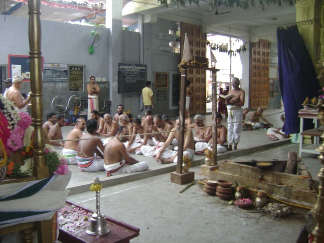 SVDD Srinivasa perumal temple pavithrotsavam 2014 11