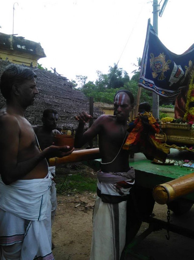 Sirupuliyur Krupasamudra Perumal Temple mamuni utsavami  2014  03