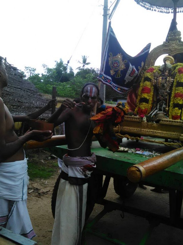 Sirupuliyur Krupasamudra Perumal Temple mamuni utsavami  2014  10