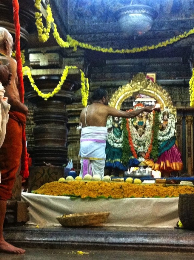 Sri Parakala Jeeyar Mangalasasanam At Sri Setha Varahaswami temple mysore 2014--06