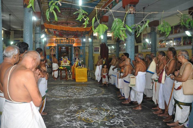 Sri Ponnadikkal Jeeyar Thirunakshathra Mahotsavam At Vanamamalai Mutt Thiruvallikkeni4