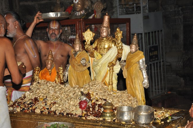 Srimushnam Jaya varusha Swami Desikan Thirunakshatra Utsavam 2014  12