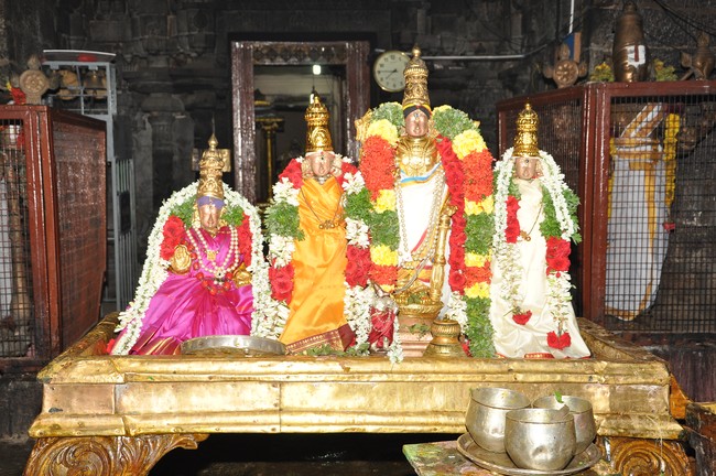 Srimushnam Jaya varusha Swami Desikan Thirunakshatra Utsavam 2014  37