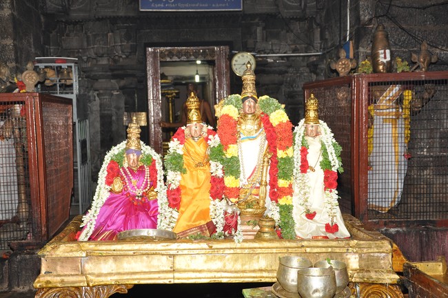 Srimushnam Jaya varusha Swami Desikan Thirunakshatra Utsavam 2014  43