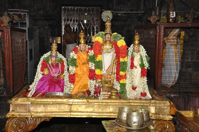 Srimushnam Jaya varusha Swami Desikan Thirunakshatra Utsavam 2014  45
