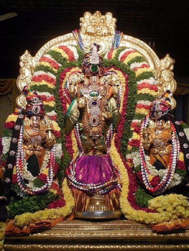 Srinivasa Mangapuram Sri Kalyana Venkateswara Swamy Temple ThiruPavithrotsavam11