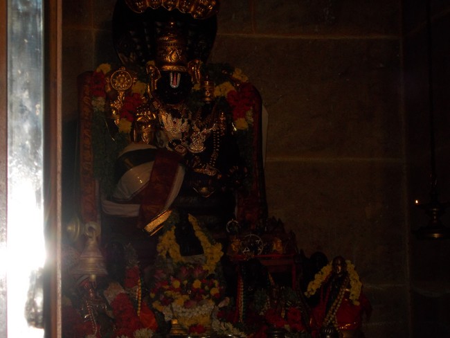Srirangam Adhivan Satakopan Thirunakshatra Utsvam vidayatri 2014 2