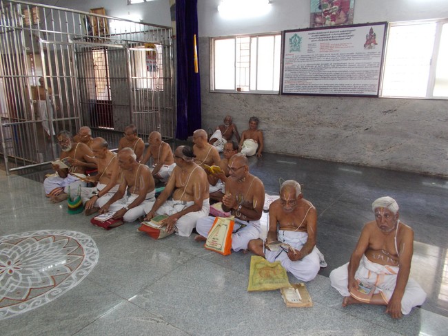Srirangam Adhivan Satakopan Thirunakshatra Utsvam vidayatri 2014 3