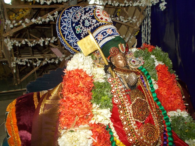 Srirangam Ahobila Mutt Adhivan Satakopan THirunakshatra utsavam vidayatri  Alum Pallaku  2014 06