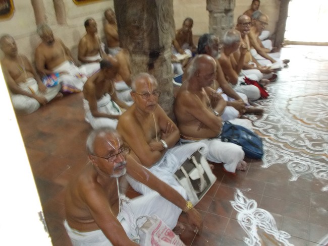 Srirangam Swami Desikan Sannadhi Desikan THirunakshatra utsavam day 1 2014 5