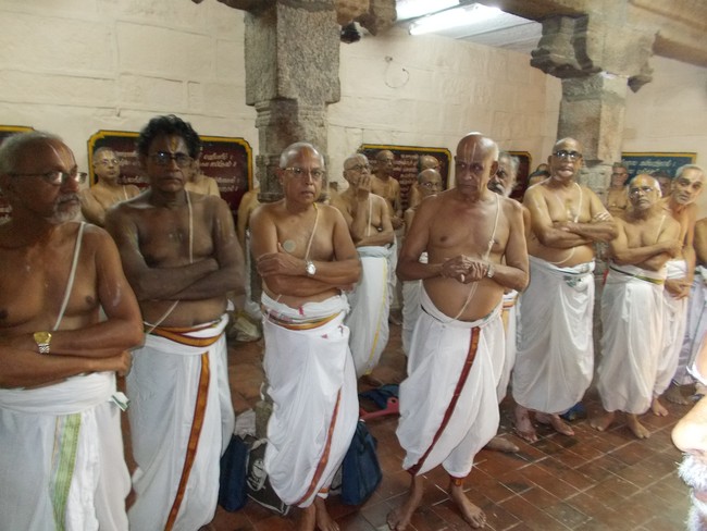 Srirangam Swami Desikan Sannadhi Desikan THirunakshatra utsavam day 2 2014 4