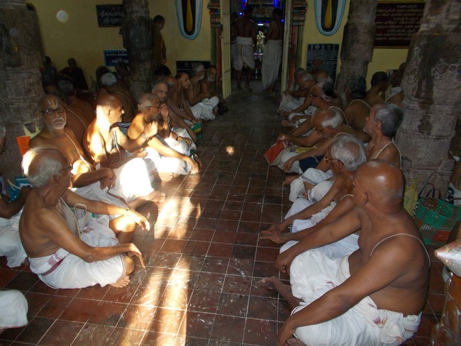 Srirangam Swami Desikan Sannadhi Desikan THirunakshatra utsavam day 2 2014 6