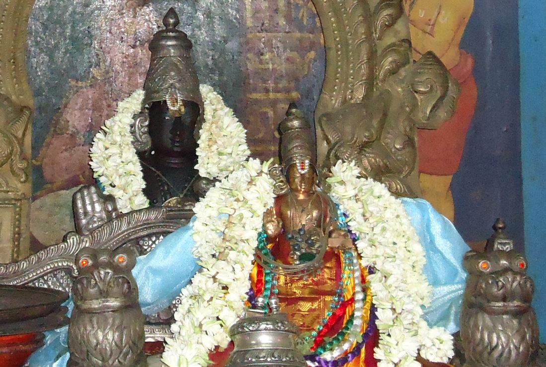 Srirangam Swami Desikan Utsavam-1