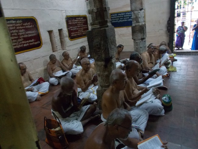 Srirangam Ul Desikan Sannadhi i Swami Desikan Thirunakshatra Utsavam day 3 2014 7