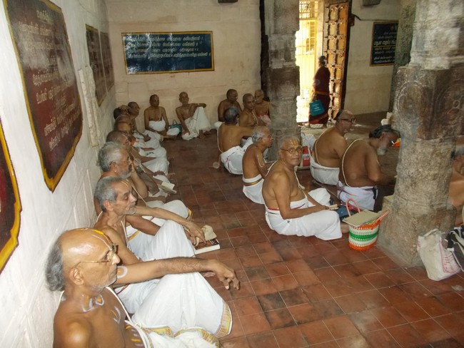 Srirangam Ul Desikan Sannadhi i Swami Desikan Thirunakshatra Utsavam day 4 2014 04