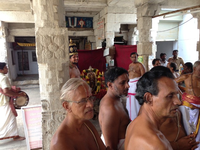 Srivilliputhur Swami Desikan Utsavam  2014 22