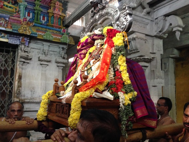Srivilliputhur Swami Desikan Utsavam  2014 26