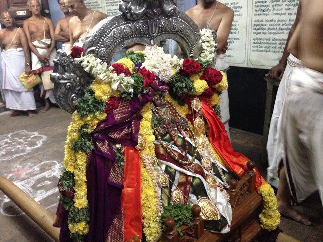 Srivilliputhur Swami Desikan Utsavam  2014 28